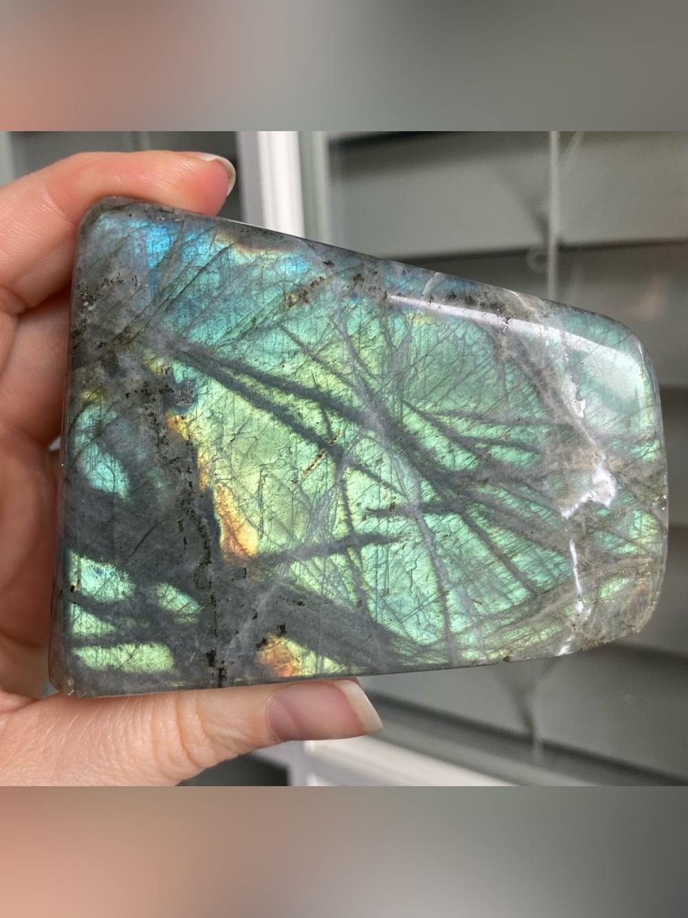 🌊✨ A LITTLE PIECE OF ATLANTIS? ✨🌊